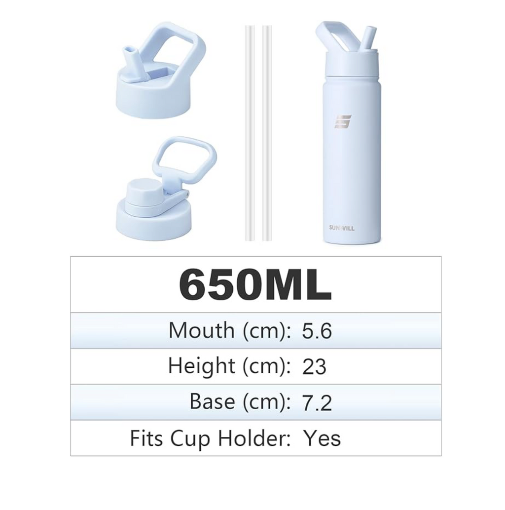 Metal Water Bottle with Straw Stainless Steel, 650Ml.